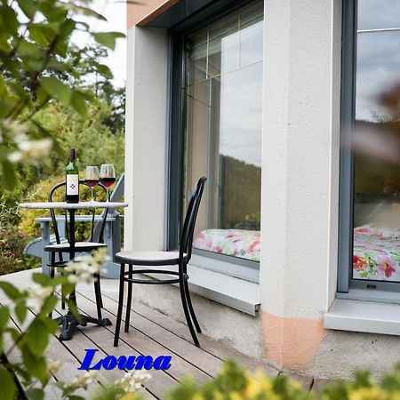 Appartements 5 Personnes Maya Et Louna Xonrupt-Longemer Exteriér fotografie