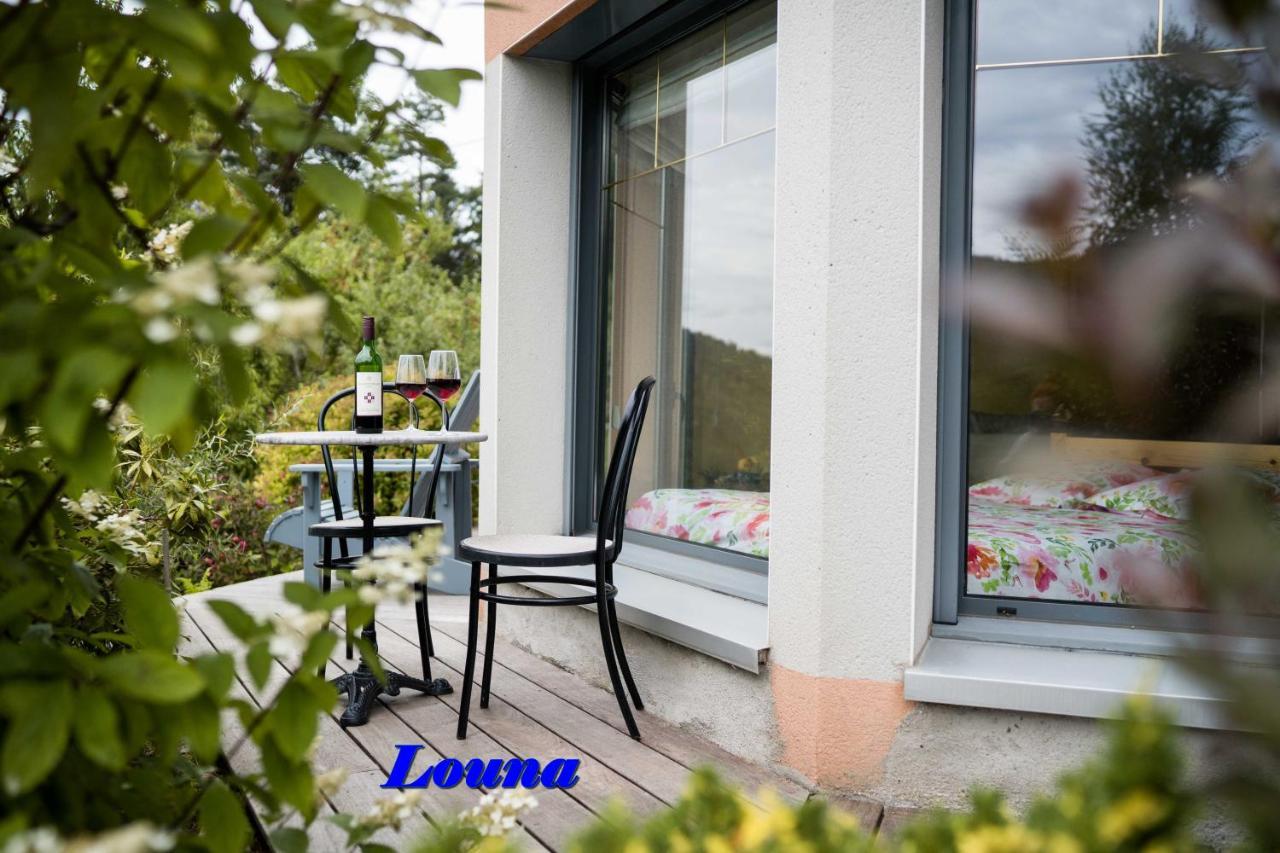 Appartements 5 Personnes Maya Et Louna Xonrupt-Longemer Exteriér fotografie