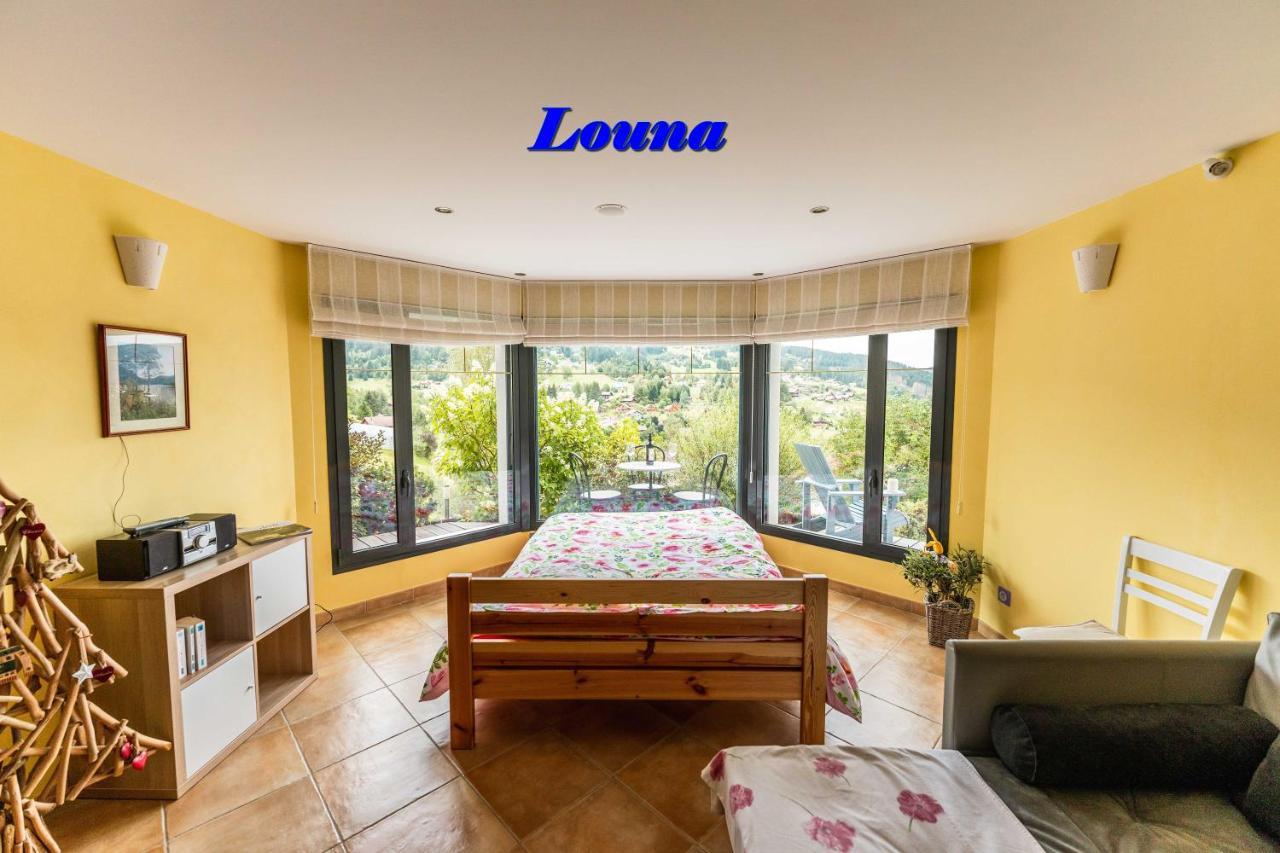 Appartements 5 Personnes Maya Et Louna Xonrupt-Longemer Exteriér fotografie