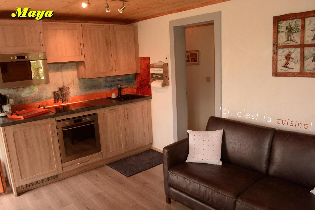 Appartements 5 Personnes Maya Et Louna Xonrupt-Longemer Exteriér fotografie